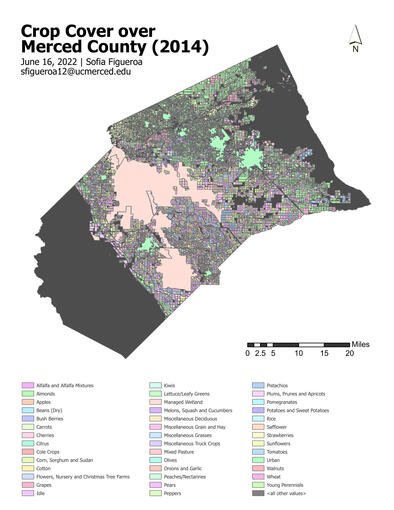 Skills Learned: Further Work with Vectors