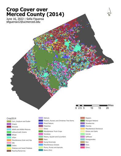 Skills Learned: Converting Vector to Raster